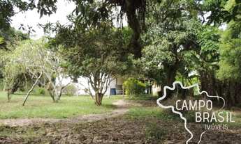 Imagem 6: FAZENDA 47 HECTARES COM CASARÃO CENTENÁRIO EM CRUZEIRO- SP !