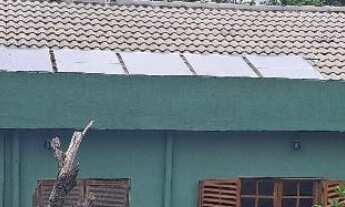 Imagem 2: RARIDADE ! SÍTIO VOLTADO PARA ECOLOGIA E PRESERVAÇÃO AMBIENTAL EM PARAIBUNA !