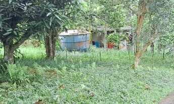 Imagem 4: RARIDADE ! SÍTIO VOLTADO PARA ECOLOGIA E PRESERVAÇÃO AMBIENTAL EM PARAIBUNA !