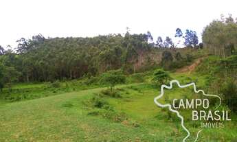 Imagem 7: SÍTIO 7 ALQUEIRES NO ASFALTO COM 30 MIL PÉS DE EUCALIPTO EM PARAIBUNA !