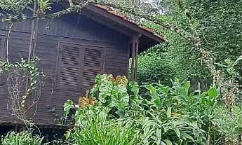 Imagem 3: RARIDADE ! SÍTIO VOLTADO PARA ECOLOGIA E PRESERVAÇÃO AMBIENTAL EM PARAIBUNA !