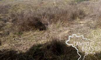 Imagem 6: RARA OPORTUNIDADE ! SÍTIO 75 HECTARES EM LIBERDADE -MG !