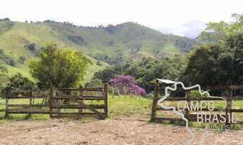Imagem 5: FAZENDA 47 HECTARES COM CASARÃO CENTENÁRIO EM CRUZEIRO- SP !