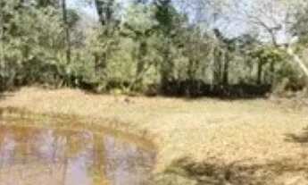 Imagem 6: CHÁCARA 9.000M² EM CAÇAPAVA !