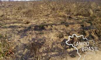Imagem 3: RARA OPORTUNIDADE ! SÍTIO 75 HECTARES EM LIBERDADE -MG !