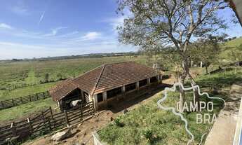 Imagem 4: SÍTIO 20 ALQUEIRES EM POUSO ALEGRE - MG !