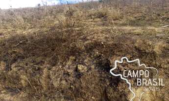Imagem 5: RARA OPORTUNIDADE ! SÍTIO 75 HECTARES EM LIBERDADE -MG !