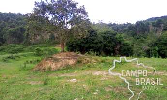 Imagem 3: SÍTIO 7 ALQUEIRES NO ASFALTO COM 30 MIL PÉS DE EUCALIPTO EM PARAIBUNA !