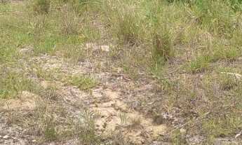 Imagem 5: TERRENO 2.000M² EM PARAIBUNA !