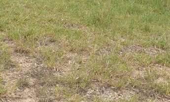 Imagem 7: TERRENO 2.000M² EM PARAIBUNA !