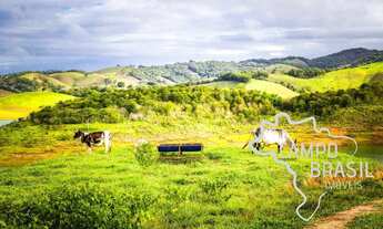 Imagem 3: SÍTIO 17 ALQUEIRES COM REPRESA NOS FUNDOS EM PARAIBUNA !