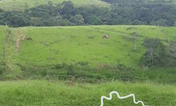 Imagem 7: SÍTIO 4,8 HECTARES EM CAÇAPAVA !