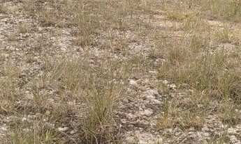 Imagem 2: TERRENO 2.000M² EM PARAIBUNA !