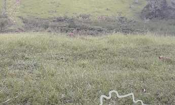 Imagem 4: SÍTIO 4,8 HECTARES EM CAÇAPAVA !