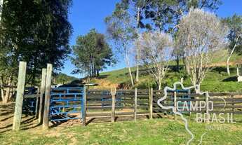 Imagem 6: SÍTIO 8 ALQUEIRES EM LAGOINHA !