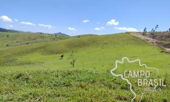 Imagem 2: FAZENDA 15 ALQUEIRES EM PARAIBUNA !