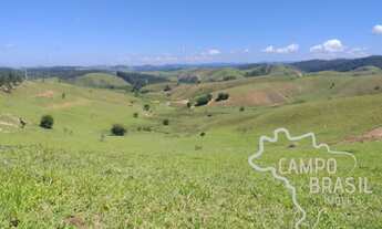 Imagem 5: FAZENDA 15 ALQUEIRES EM PARAIBUNA !