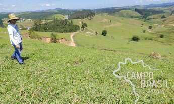 Imagem 6: FAZENDA 15 ALQUEIRES EM PARAIBUNA !