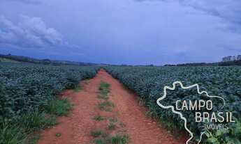 Imagem 5: OPORTUNIDADE SUL DE MINAS GERAIS - FAZENDA COM 212 HECTARES !