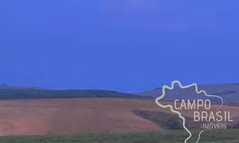 Imagem 5: FAZENDA 163 HECTARES IDEAL PARA PLANTIO DE GRÃOS EM MINAS GERAIS !