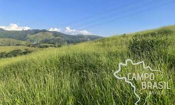 Imagem 3: ÁREA RURAL 10 ALQUEIRES EM MONTEIRO LOBATO !