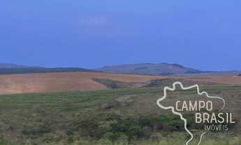 Imagem 2: FAZENDA 163 HECTARES IDEAL PARA PLANTIO DE GRÃOS EM MINAS GERAIS !