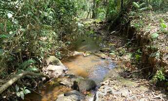 Imagem 6: CHÁCARA COM CACHOEIRA , 1,5KM DO ASFALTO EM MONTEIRO LOBATO !