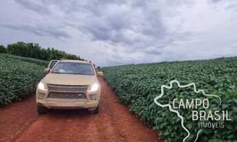 Imagem 6: OPORTUNIDADE SUL DE MINAS GERAIS - FAZENDA COM 212 HECTARES !