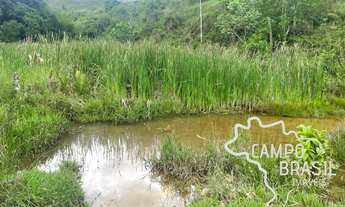 Imagem 5: SÍTIO COM TOPOGRAFIA MÉDIA DE 13,34 ALQUEIRES EM SÃO JOSÉ DOS CAMPOS !