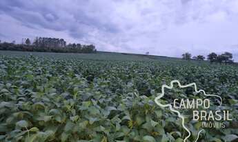 Imagem 4: OPORTUNIDADE SUL DE MINAS GERAIS - FAZENDA COM 212 HECTARES !