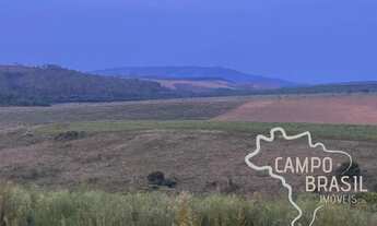 Imagem 3: FAZENDA 163 HECTARES IDEAL PARA PLANTIO DE GRÃOS EM MINAS GERAIS !
