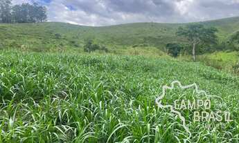 Imagem 7: SÍTIO COM TOPOGRAFIA MÉDIA DE 13,34 ALQUEIRES EM SÃO JOSÉ DOS CAMPOS !