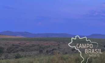 Imagem 7: FAZENDA 163 HECTARES IDEAL PARA PLANTIO DE GRÃOS EM MINAS GERAIS !