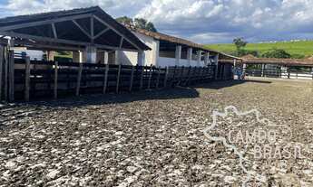 Imagem: FAZENDA 165,20 ALQUEIRES TOPOGRAFIA PLANA