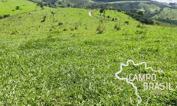 Imagem 7: FAZENDA 188 HECTARES EM MINAS GERAIS !