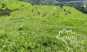 Imagem 6: FAZENDA 188 HECTARES EM MINAS GERAIS !