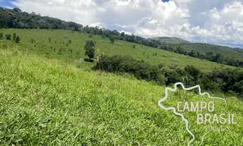 Imagem 3: FAZENDA 188 HECTARES EM MINAS GERAIS !