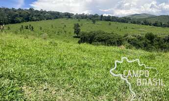 Imagem 2: FAZENDA 188 HECTARES EM MINAS GERAIS !