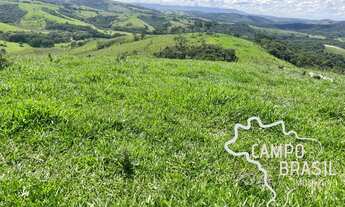 Imagem 5: FAZENDA 188 HECTARES EM MINAS GERAIS !