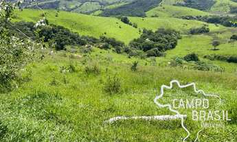 Imagem 4: FAZENDA 188 HECTARES EM MINAS GERAIS !