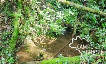 Imagem 7: LINDO SÍTIO 18 HECTARES NATUREZA PURA E COM NASCENTE EM MINAS GERAIS !