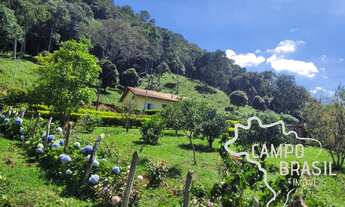 Imagem 2: LINDO SÍTIO 18 HECTARES NATUREZA PURA E COM NASCENTE EM MINAS GERAIS !