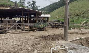 Imagem 5: FAZENDA TODA ESTRUTURADA 58 ALQUEIRES EM NATIVIDADE DA SERRA !