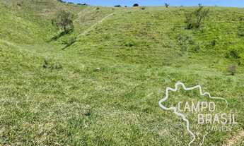 Imagem 6: ÁREA RURAL 94.000M² COM PASTO FORMADO EM SÃO JOSÉ DOS CAMPOS !