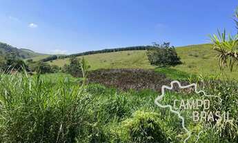 Imagem 5: ÁREA RURAL 94.000M² COM PASTO FORMADO EM SÃO JOSÉ DOS CAMPOS !