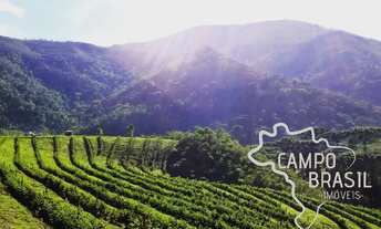 Imagem: MARAVILHOSA FAZENDA 54 HECTARES EM CARVALHOS