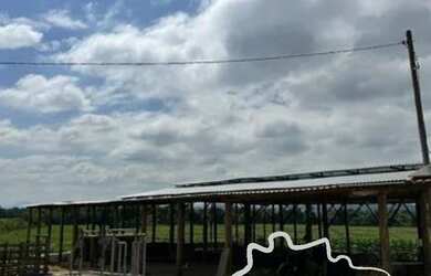 Imagem 5: FAZENDA 60 HECTARES EM POUSO ALEGRE - MG !