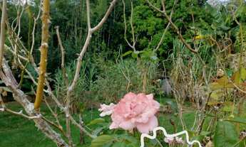 Imagem 4: SÍTIO 50.576M² COM PASTO FORMADO EM SÃO JOSÉ DOS CAMPOS !