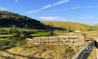 Imagem: MARAVILHOSA FAZENDA 60 ALQUEIRES EM LORENA