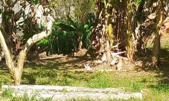 Imagem 3: CHÁCARA 1.300M² PLANA NA ZONA NORTE DE SÃO JOSÉ DOS CAMPOS !